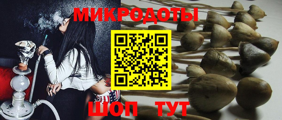где продают   Галлюциногенные грибы Psilocybe  Вход с VPN  Псков  Псилоцибиновые грибы GOLDEN TEACHER 