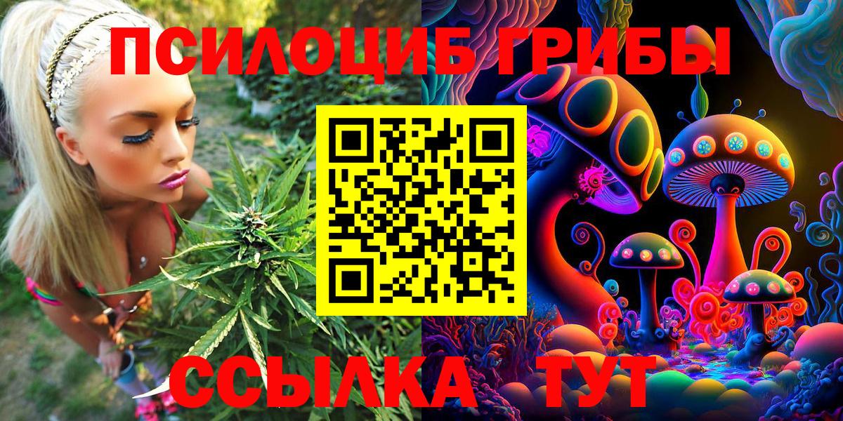 Галлюциногенные грибы Magic Shrooms Псков
