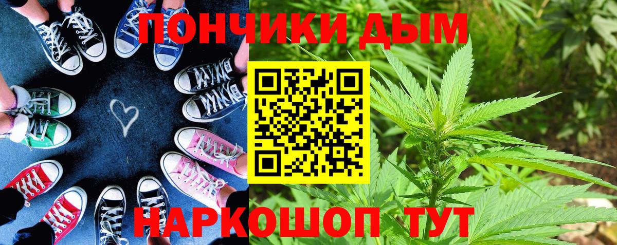 Бошки Шишки сатива Псков
